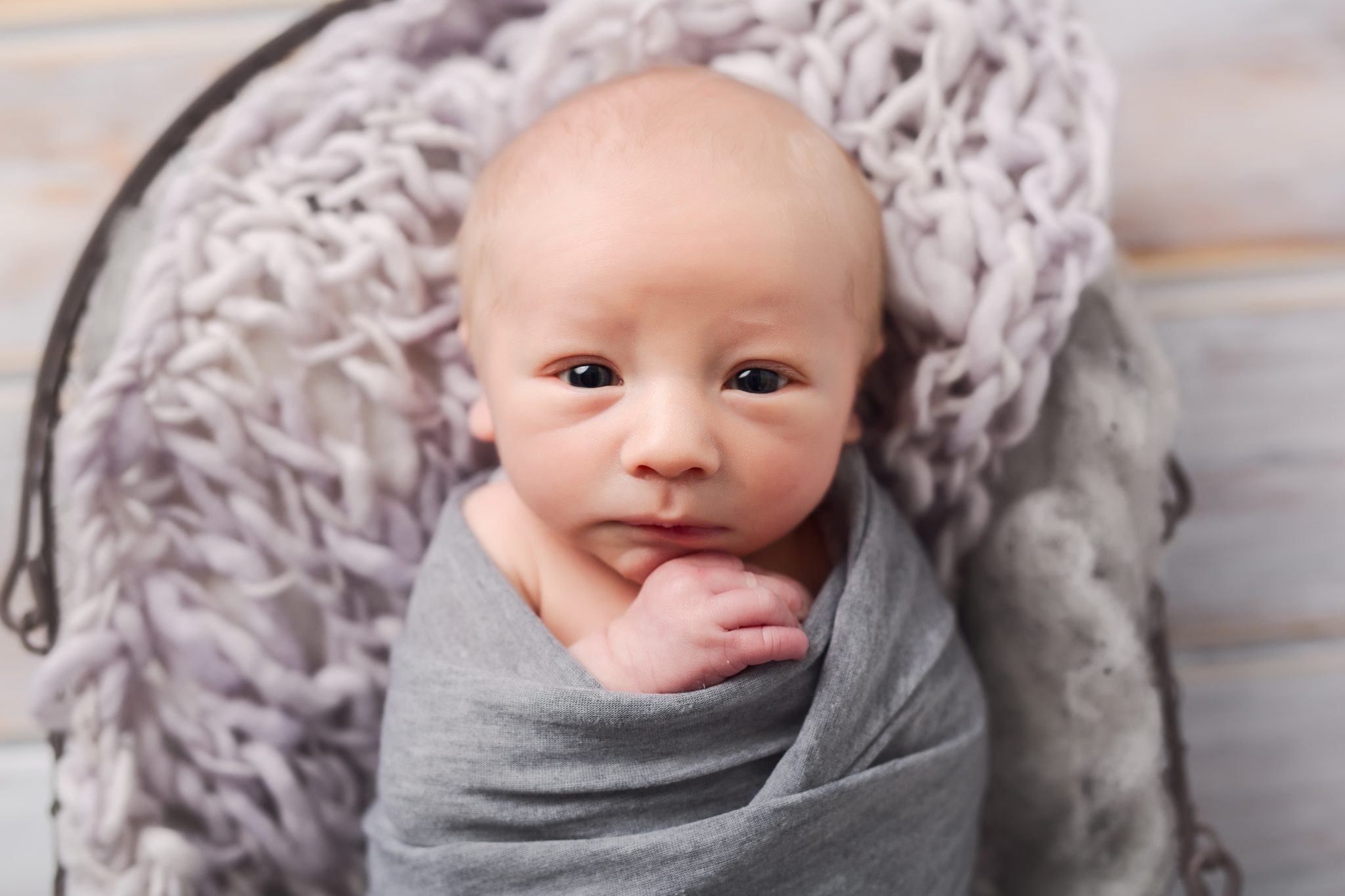 Michigan Newborn Photographer, Rochester Hills Newborn Photographer