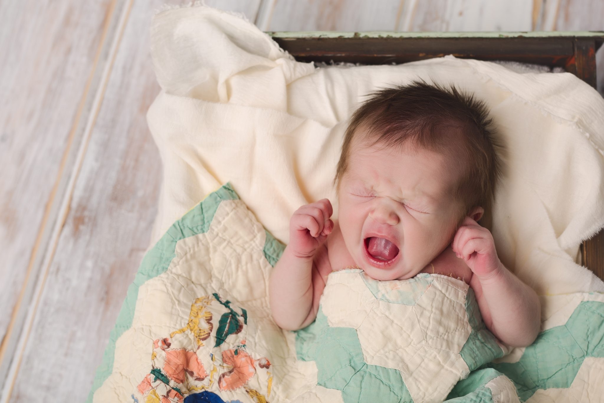 Michigan Newborn Photographer, Michigan Baby Photographer, Meghan Mace Photography, Michigan Family Photographer