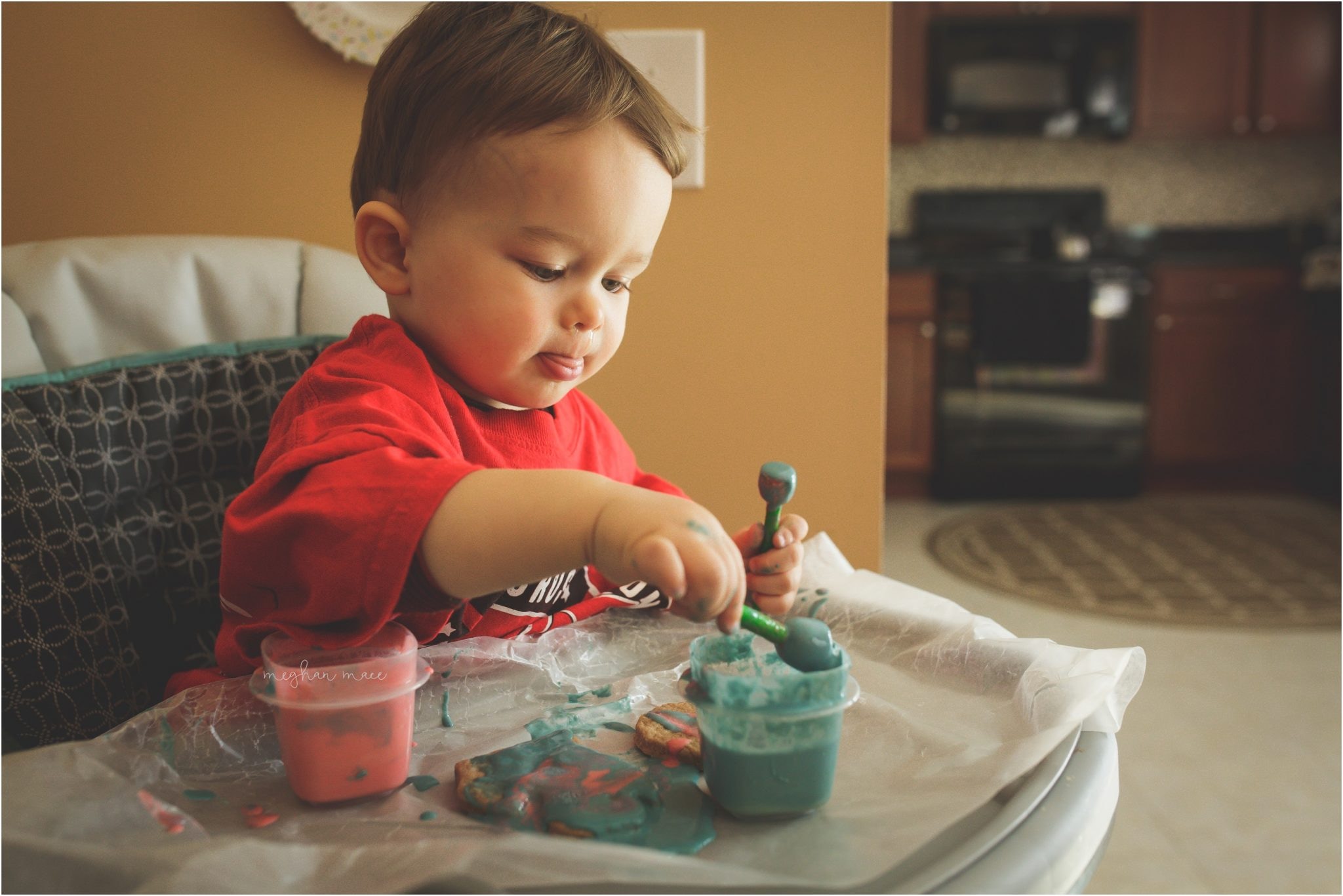 Michigan Salt Dough Ornament, Michigan Photographer, Personal Post