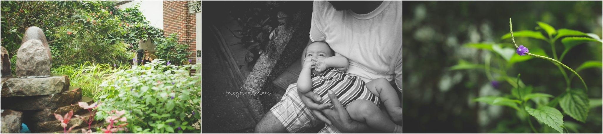 Detroit Zoo, Meghan Mace Photography, Milestone Photography, Rochester Hills Michigan