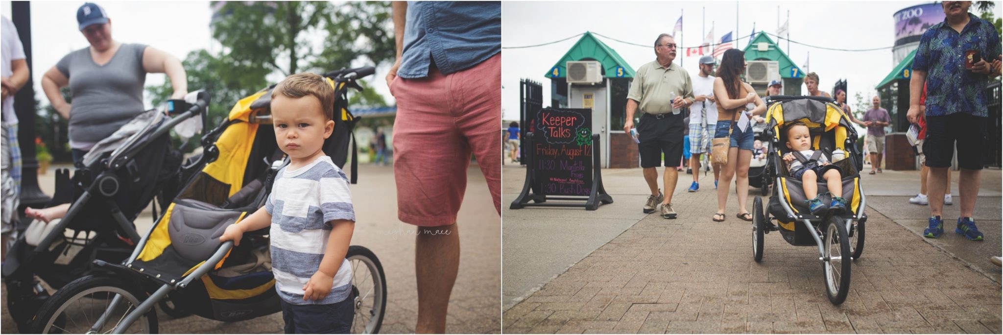 Detroit Zoo, Meghan Mace Photography, Milestone Photography, Rochester Hills Michigan