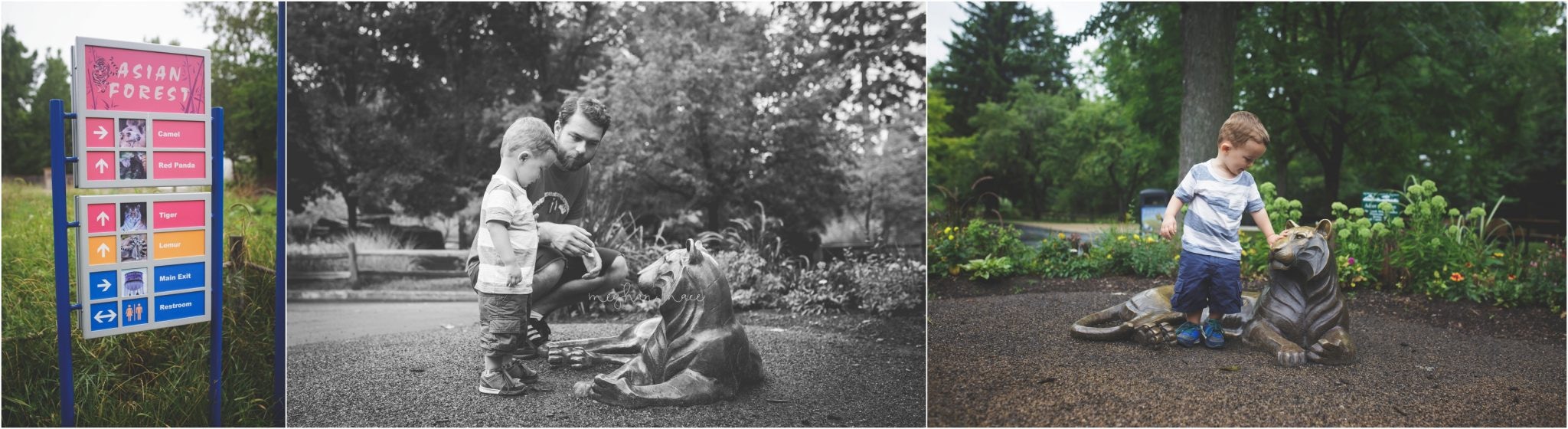 Detroit Zoo, Meghan Mace Photography, Milestone Photography, Rochester Hills Michigan