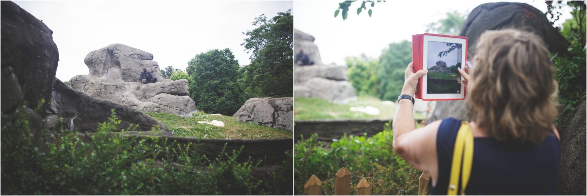 Detroit Zoo, Meghan Mace Photography, Milestone Photography, Rochester Hills Michigan