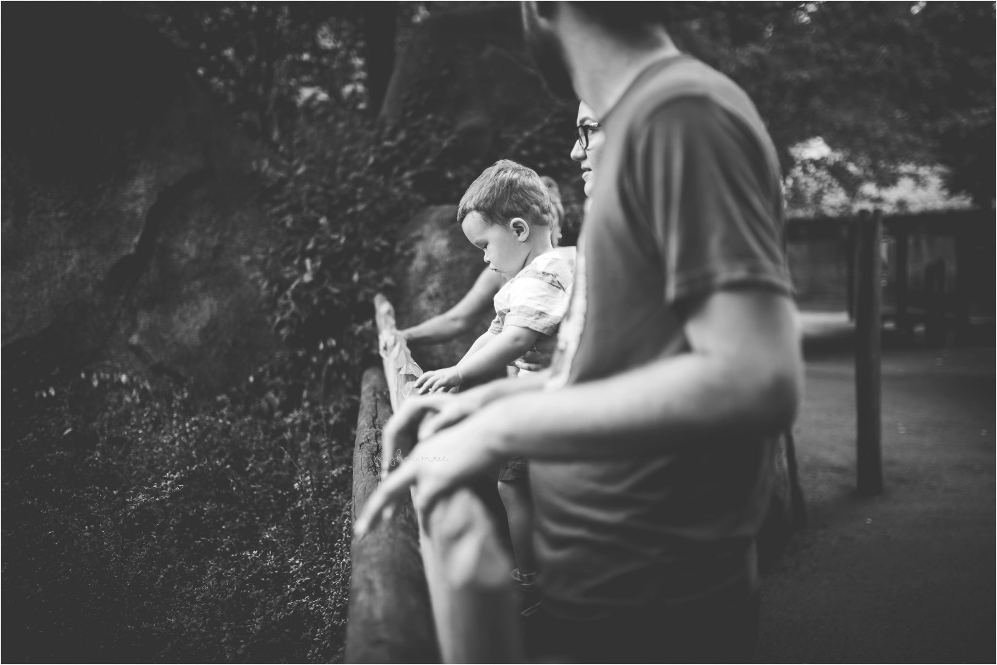 Detroit Zoo, Meghan Mace Photography, Milestone Photography, Rochester Hills Michigan