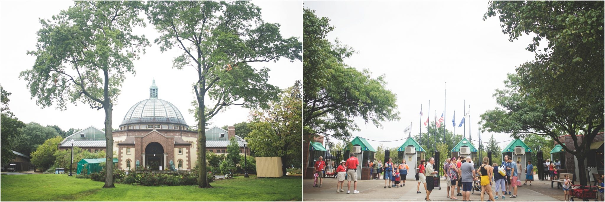 Detroit Zoo, Meghan Mace Photography, Milestone Photography, Rochester Hills Michigan