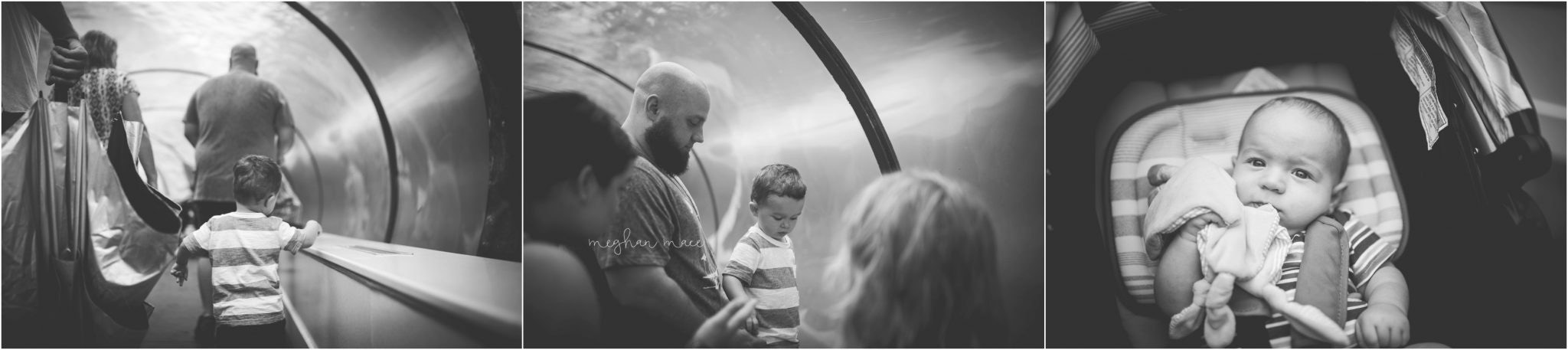 Detroit Zoo, Meghan Mace Photography, Milestone Photography, Rochester Hills Michigan