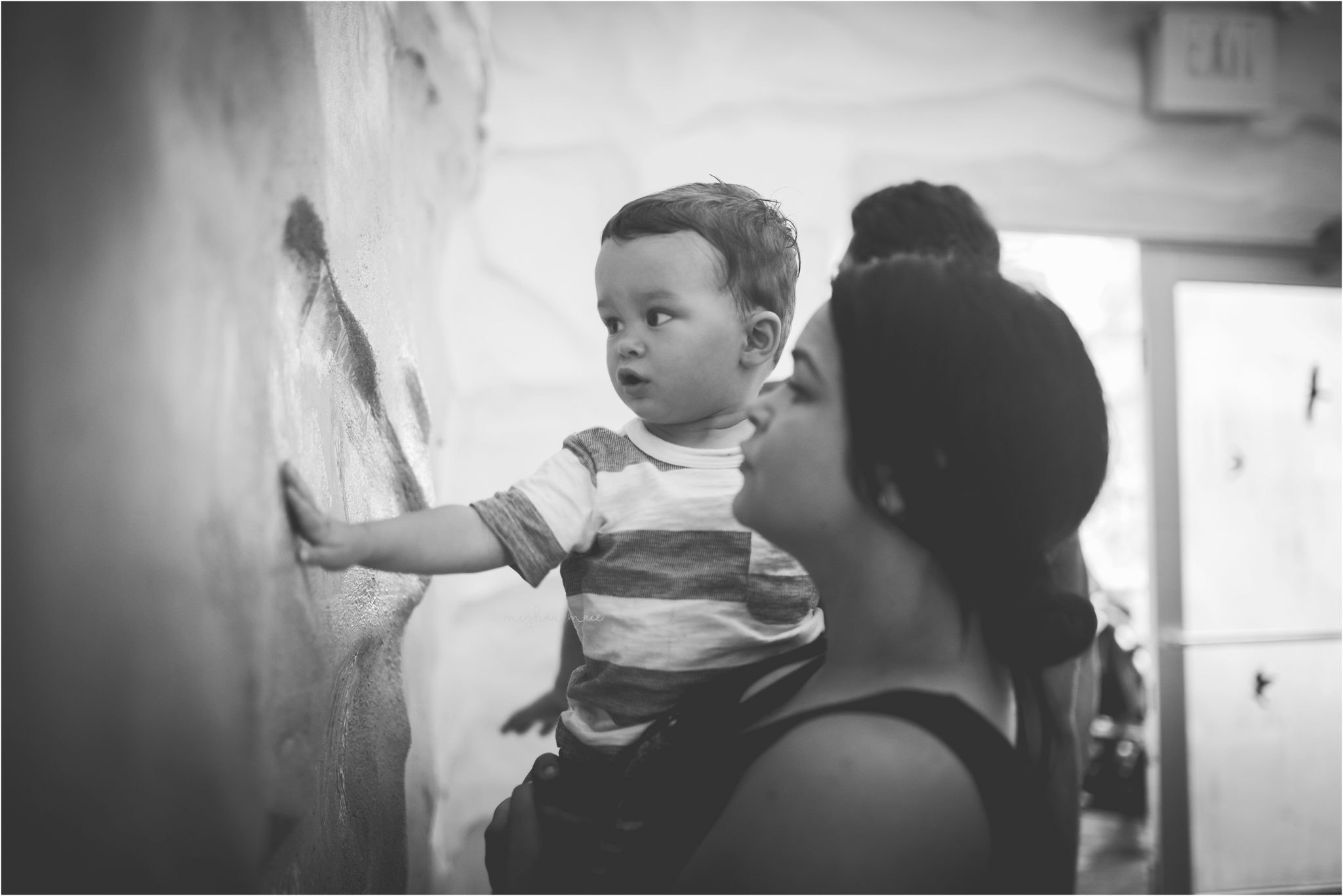 Detroit Zoo, Meghan Mace Photography, Milestone Photography, Rochester Hills Michigan
