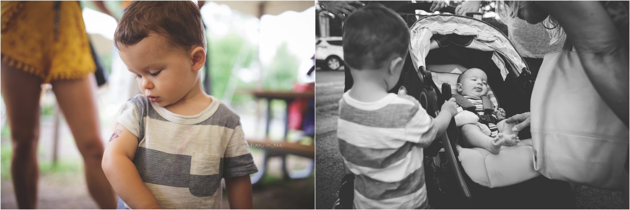 Detroit Zoo, Meghan Mace Photography, Milestone Photography, Rochester Hills Michigan