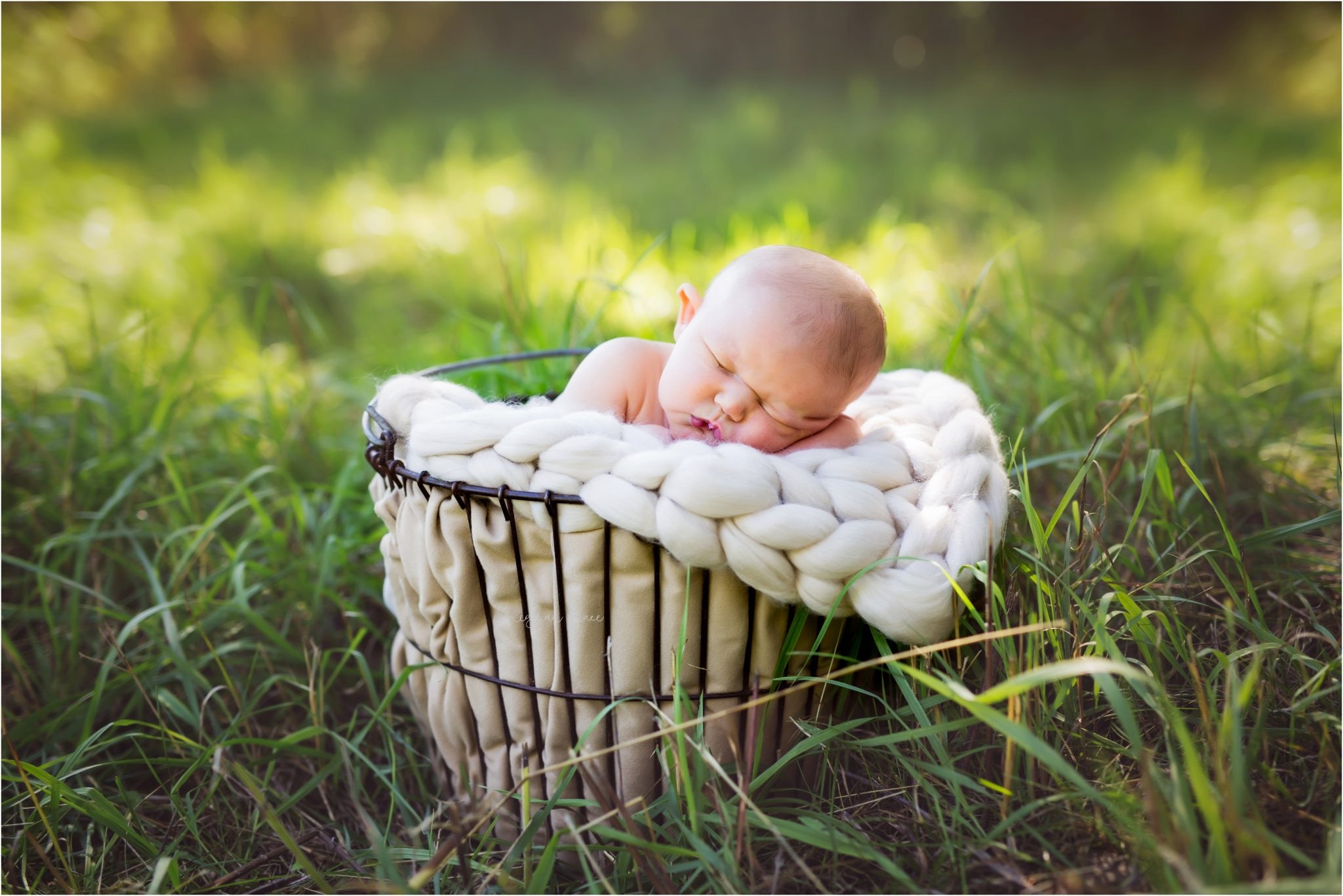 Finn Ruby, Meghan Mace Photography, Michigan Newborn Photographer, Rochester Hills Michigan Photographer