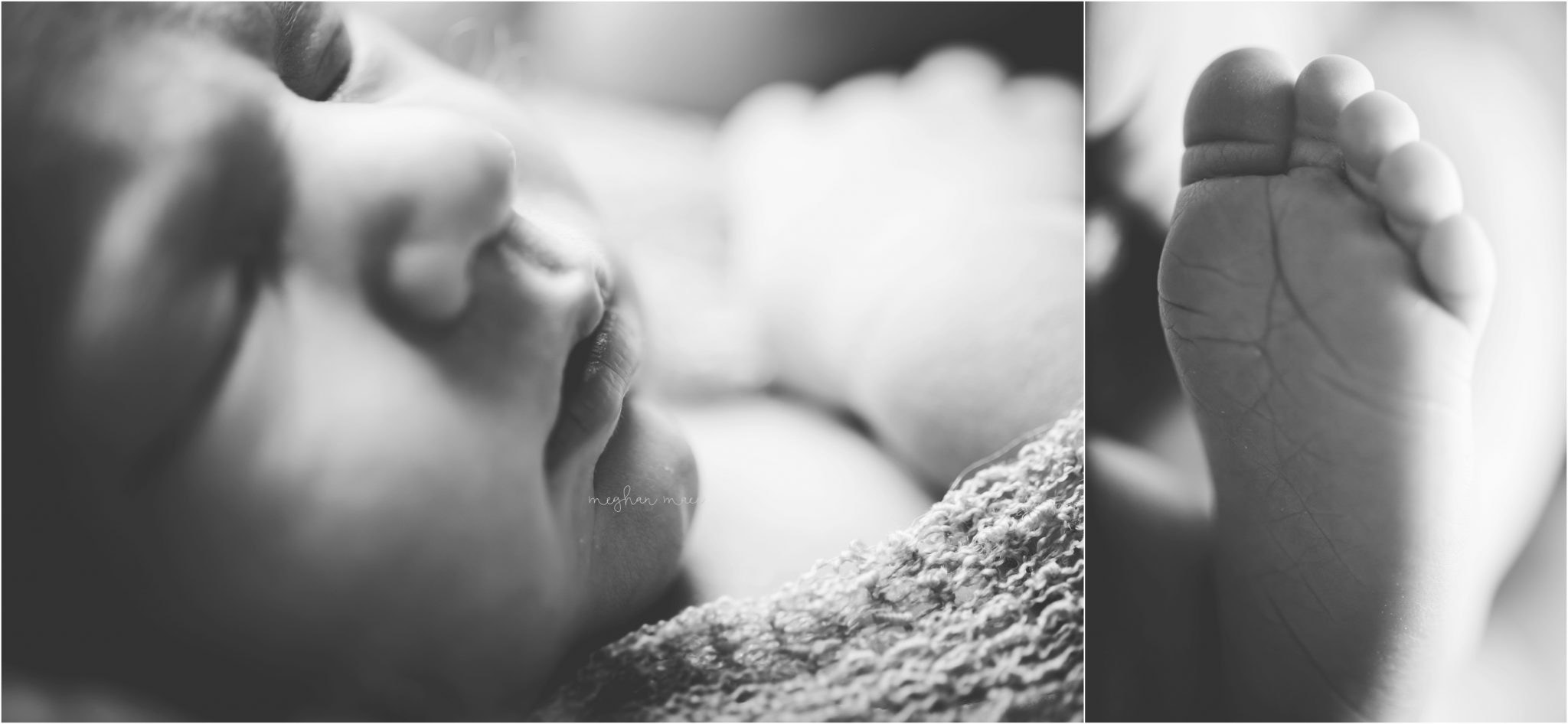 Rochester Michigan Newborn Photographer, Meghan Mace Photography, Oakland Count Newborn Photographer
