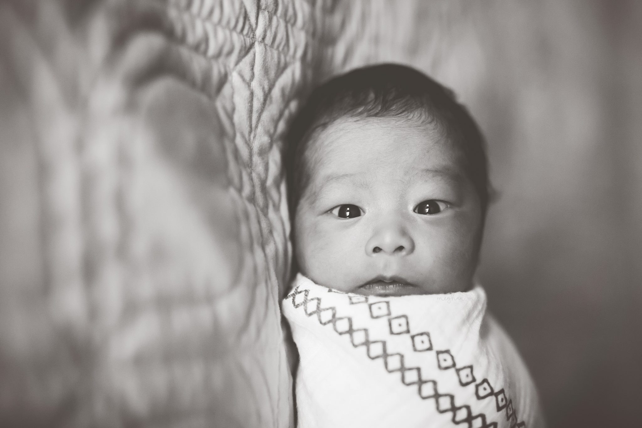 Meghan Mace Photography, Rochester Michigan Baby Photographer, Michigan Child Photographer, Rochester Hills Photographer
