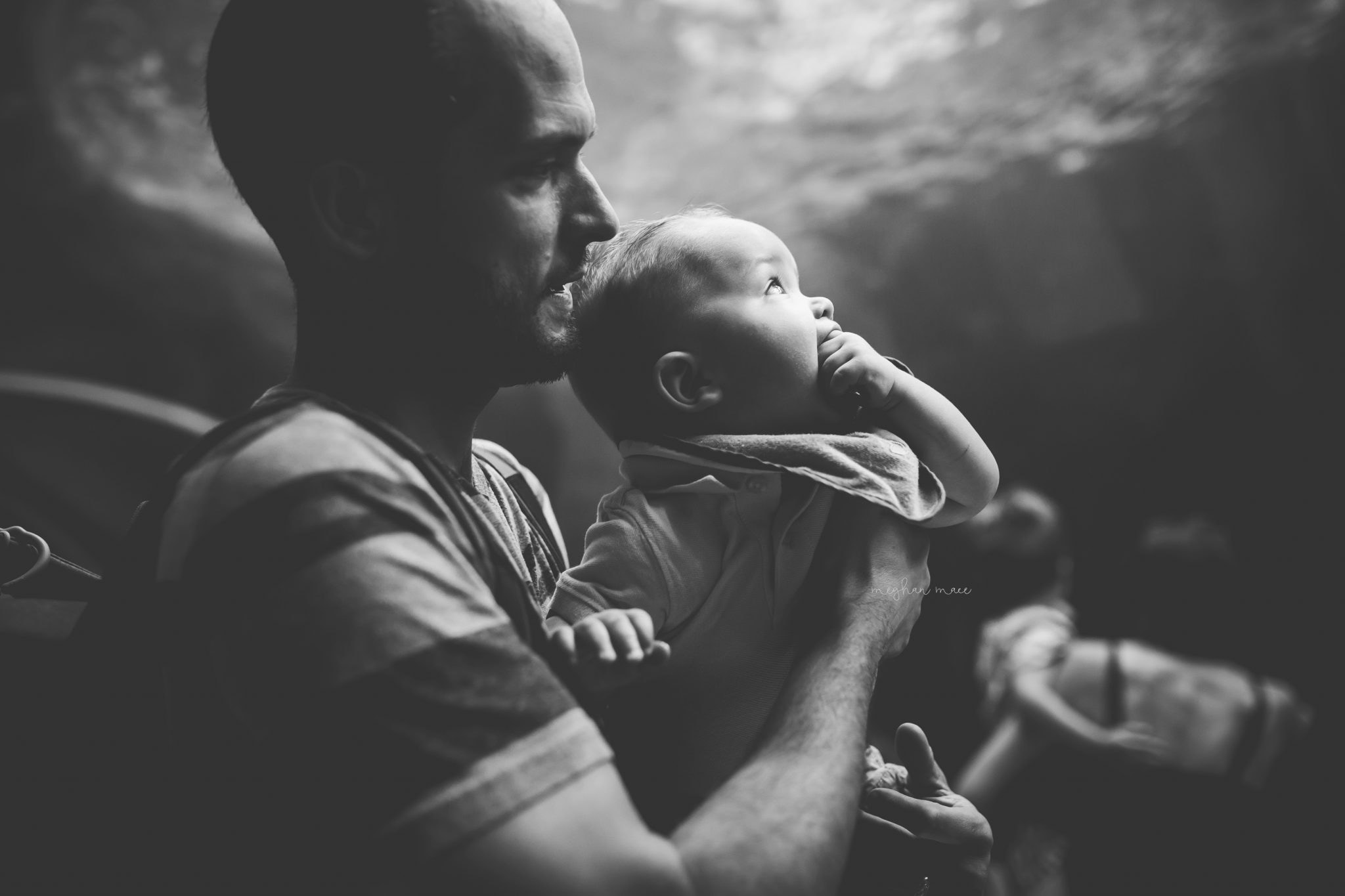 Meghan Mace Photography, Personal Post, Rochester Michigan Family Photographer