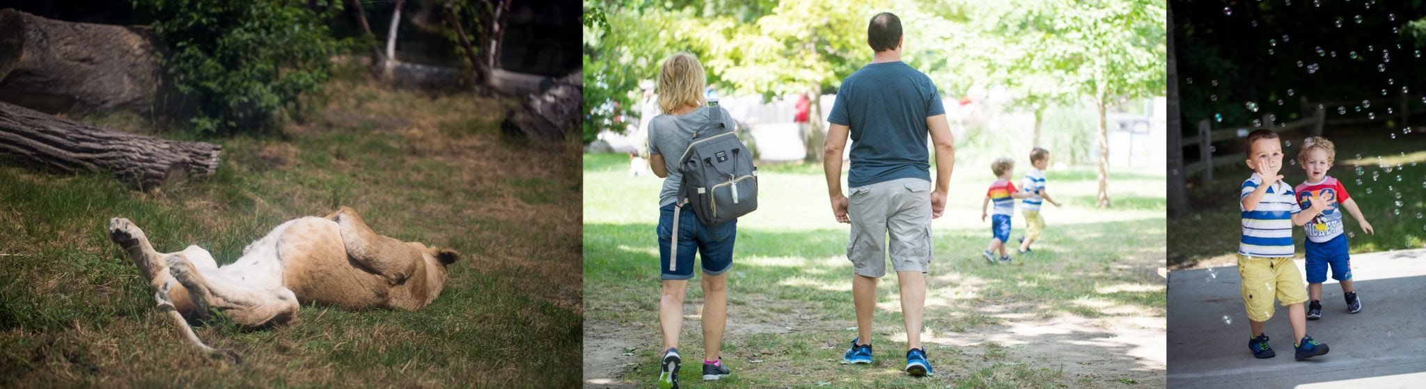 Meghan Mace Photography, Personal Post, Rochester Michigan Family Photographer