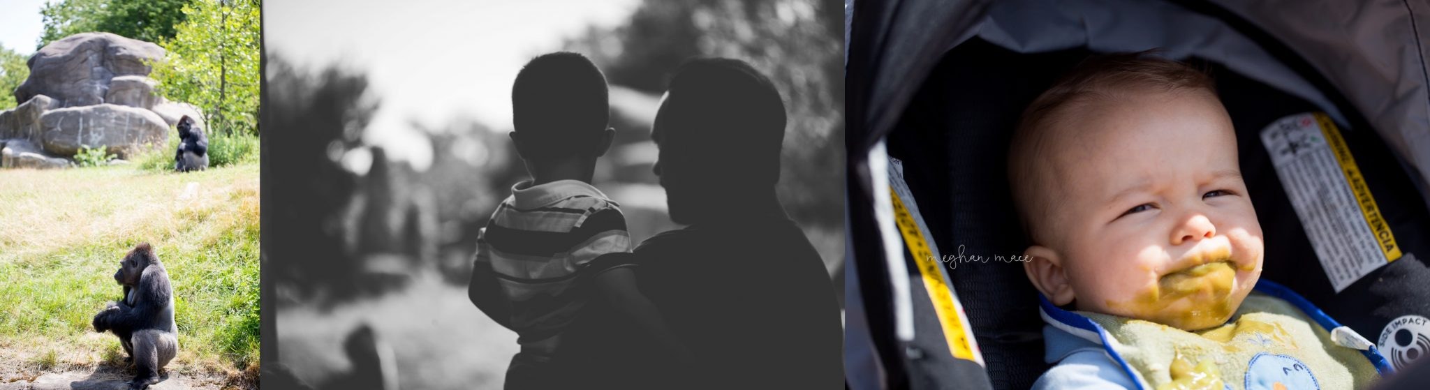 Meghan Mace Photography, Personal Post, Rochester Michigan Family Photographer