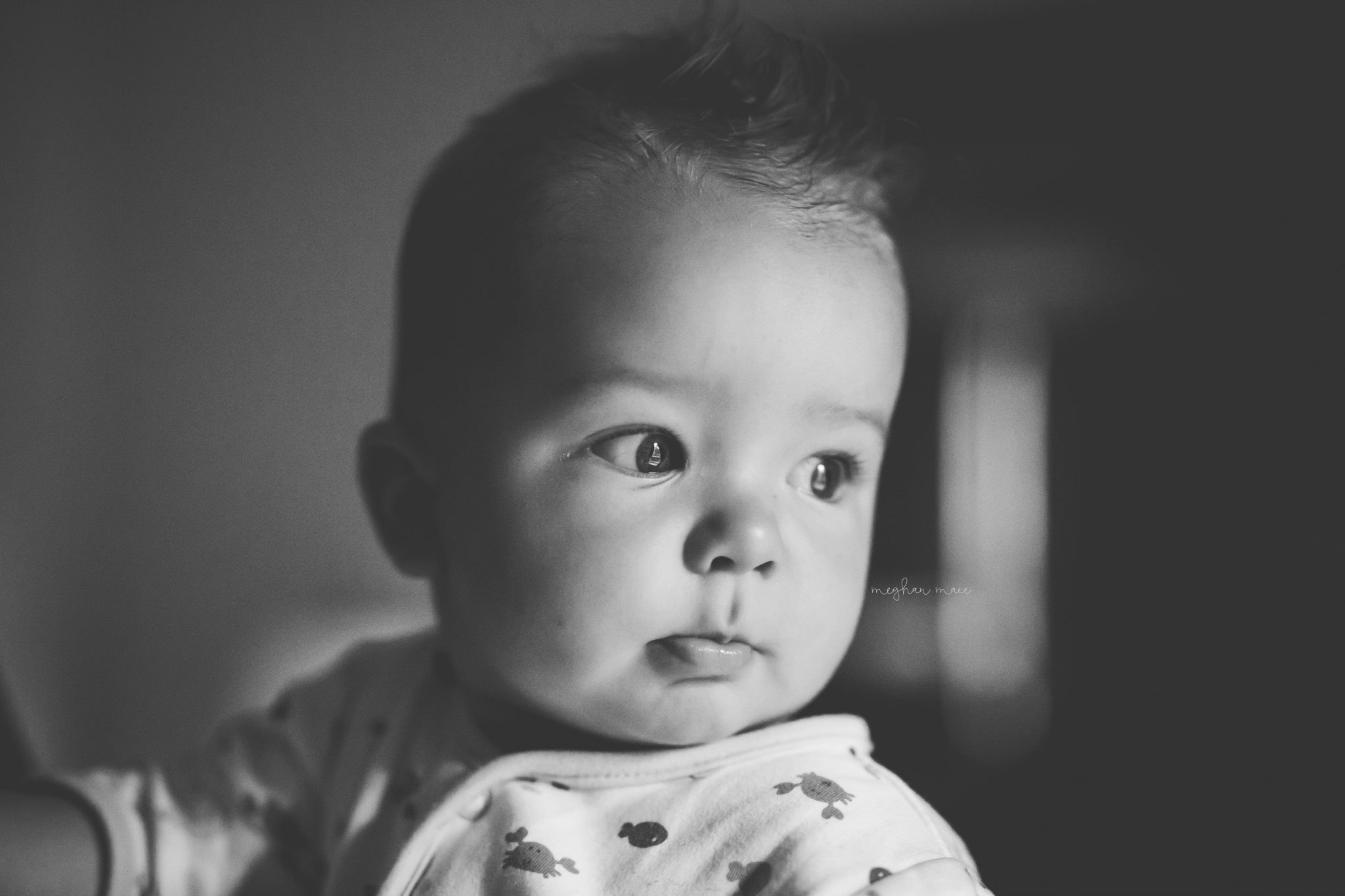 Meghan Mace Photography, Personal Post, Rochester Michigan Family Photographer