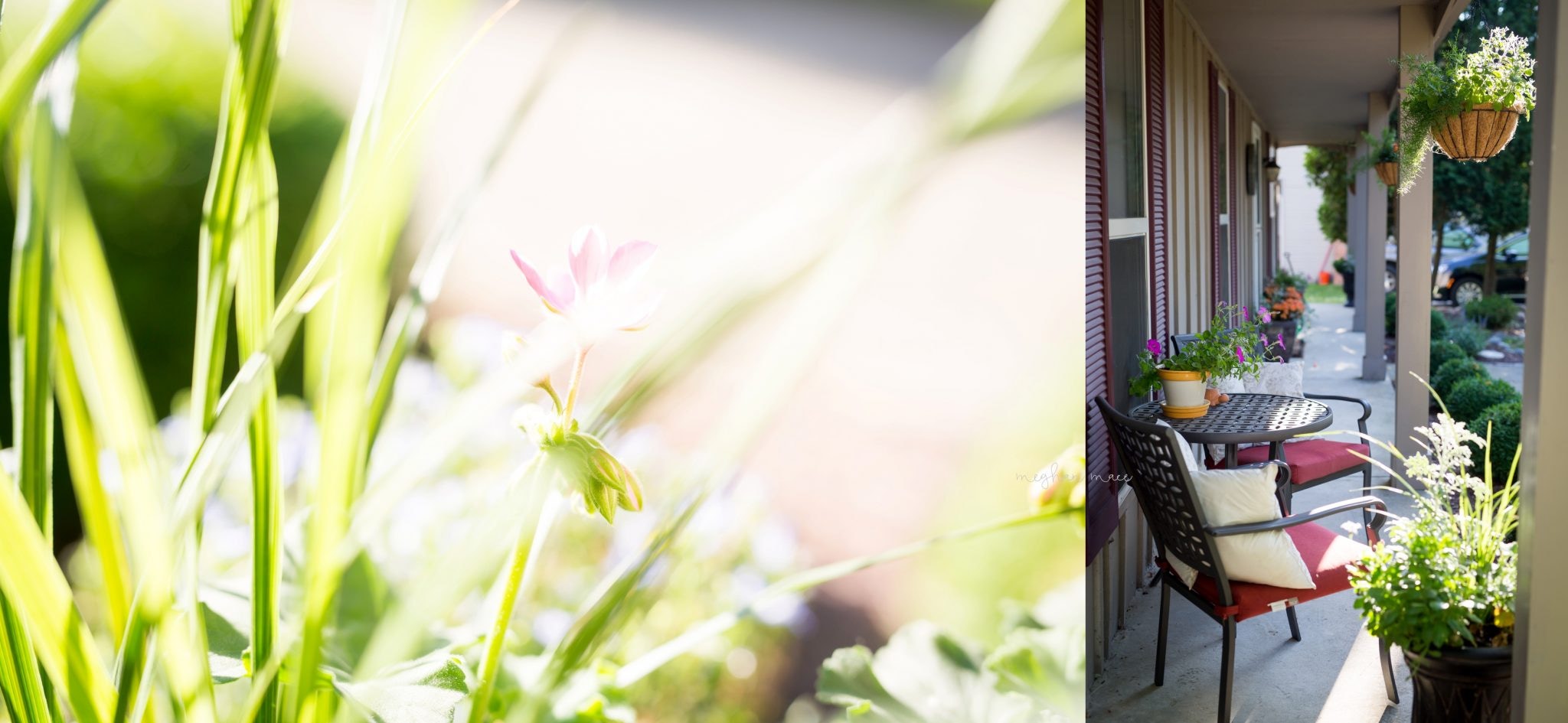 Meghan Mace Photography, Personal Post, Rochester Michigan Family Photographer