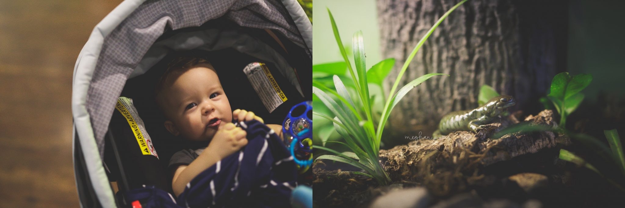 Meghan Mace Photography, Personal Post, Rochester Michigan Family Photographer
